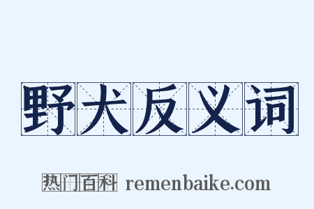 野犬反义词是什么意思的图片